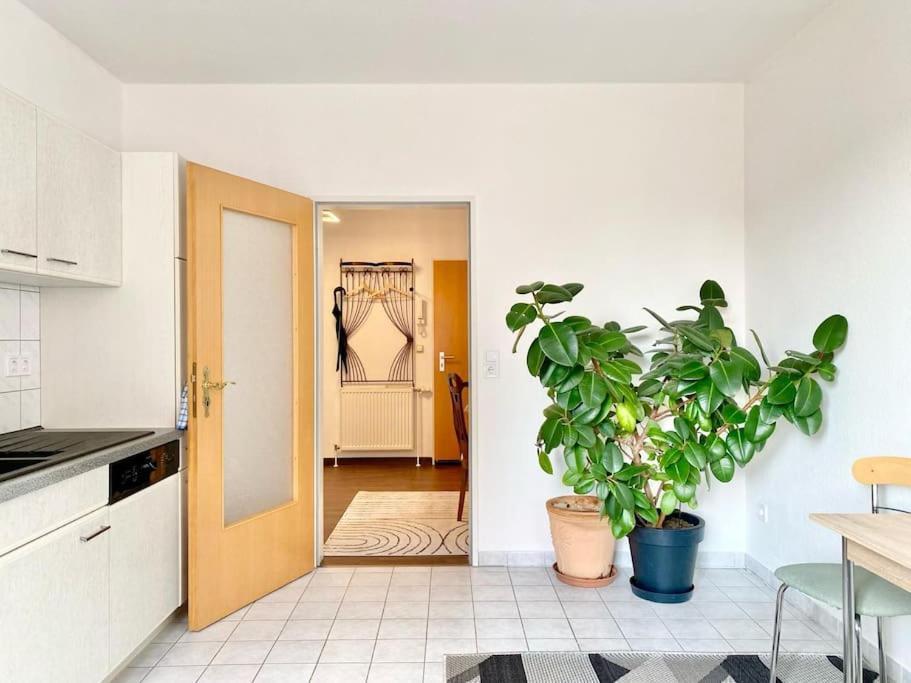 Luxus-Oase In Bad Wilsnack Apartment Exterior photo